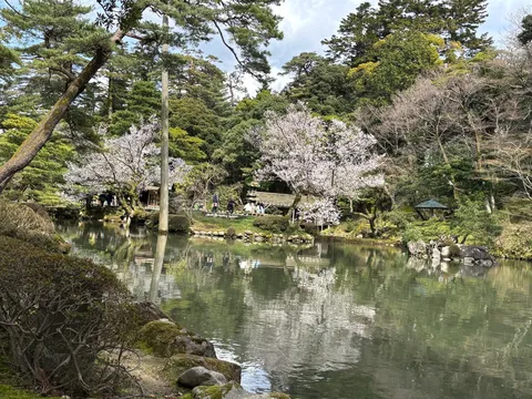 新緑の湖畔、静寂に包まれて