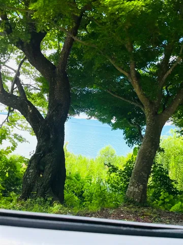 木陰と海のコントラスト