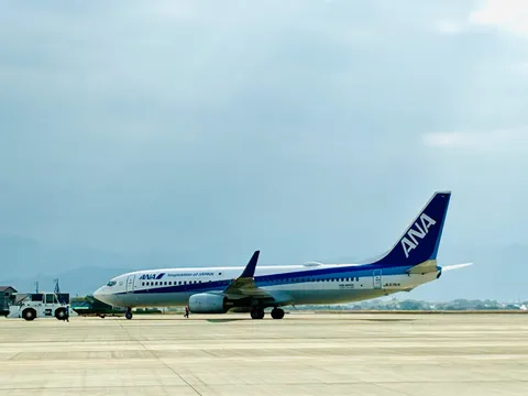 空へ誘う青と白