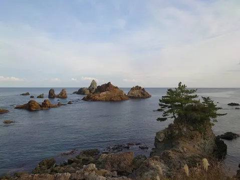 波間に浮かぶ岩と木々の静寂