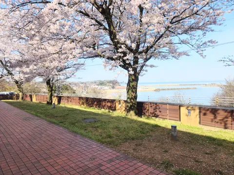 春風と海辺の散歩道