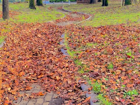 秋色に染まる小道