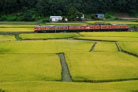 田園を駆ける赤編成
