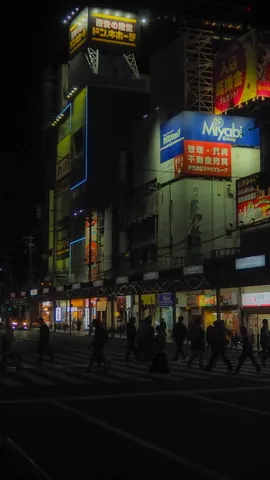 夜の交差点に灯る街の声