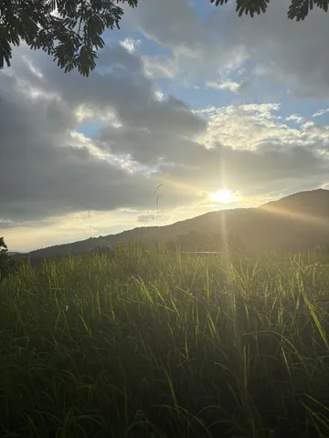 草と空のコントラスト、夕暮れの光