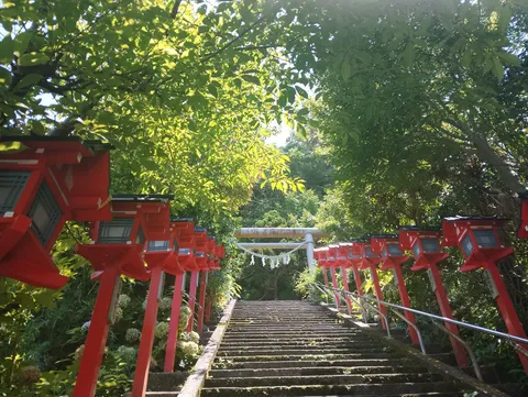 緑陰に並ぶ赤灯籠の道