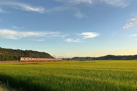 緑の田園を渡る列車
