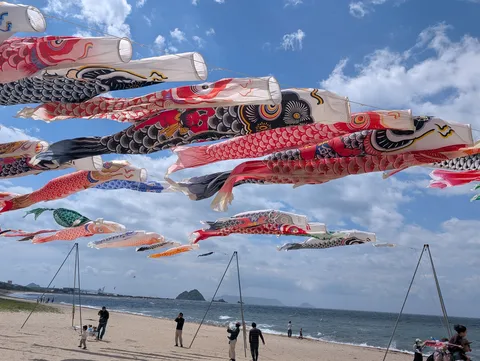海風に舞う、圧巻の鯉のぼり群