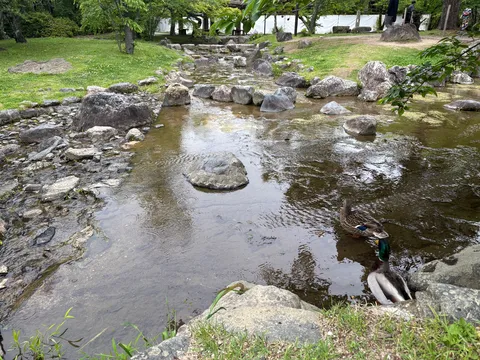 優雅な鳥京都
