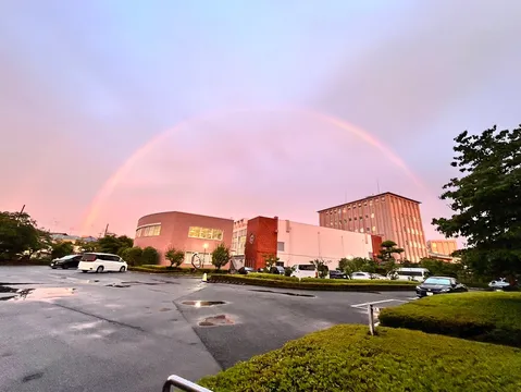 雨上がりの空に架かる虹