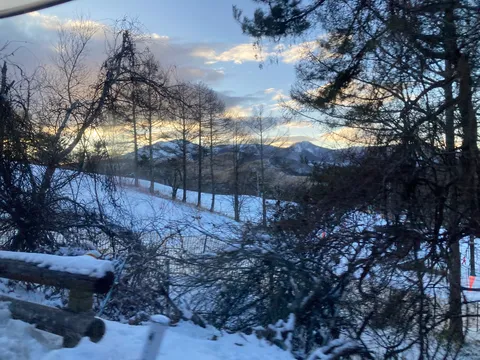 木漏れ日と雪山の冬景色