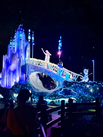 エルサが来た夜の夢
