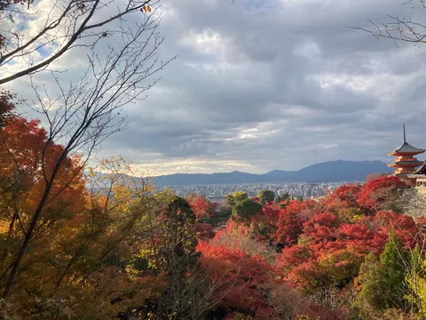 錦秋の古都を望む