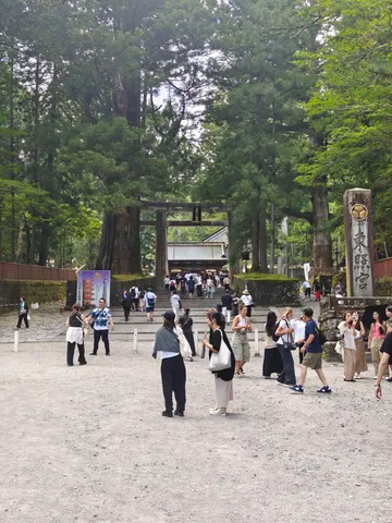 古の巨木と神聖なる参道