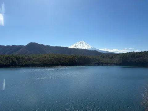 湖畔に佇む富士山の雄姿