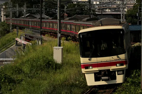 緑と鉄路のコントラスト、都会を走る通勤電車