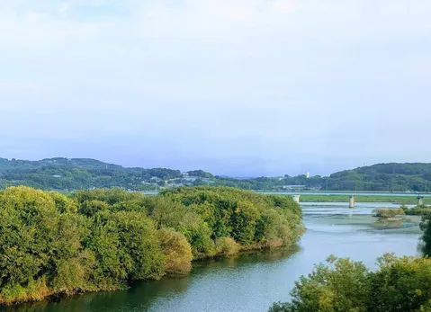緑豊かな川辺の風景