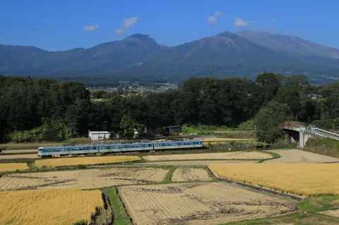 青と金の田園を走る列車