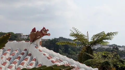魔除けのシーサー、南国の風と街並み