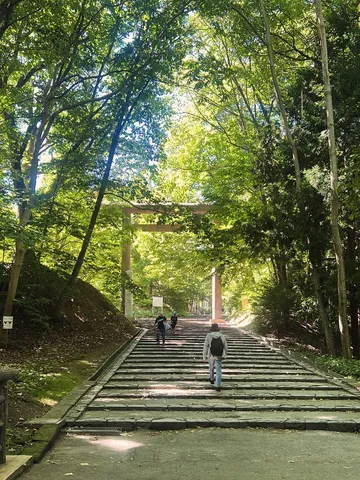 緑のトンネルを抜ける先