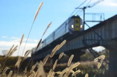 風にそよぐ草と列車の残像