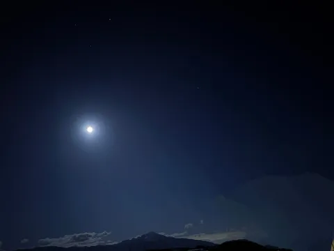 夜の主役は月様