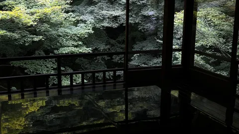森とガラスの静謐な窓辺