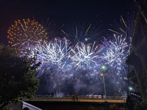 夜空に咲き誇る光の華々