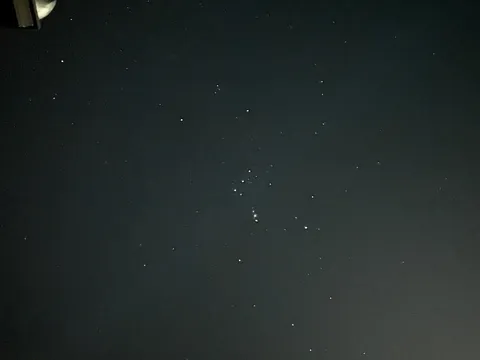 夜空に散る星の群れ