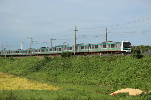 緑と線路の静かなリズム