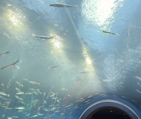 宇宙遊泳ならぬ水中遊泳