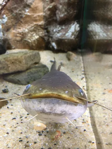 水中からこんにちは