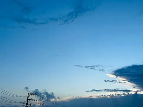 電線が主演！青空劇場