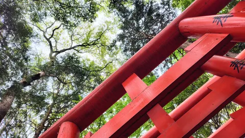 空を見上げたら、赤い建造物がニョキニョキ！