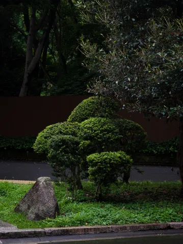 静寂に佇む緑の芸術