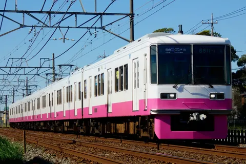 青空の下、鮮やかなピンクの列車