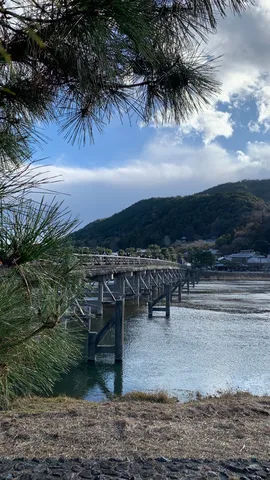 新緑と静寂の橋