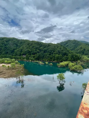 静寂の湖に映る緑のコントラスト