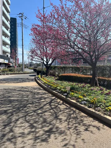 春色の小道、木漏れ日のアート