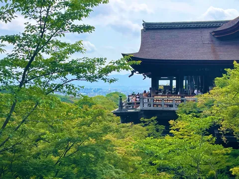 新緑に映える古刹の舞台