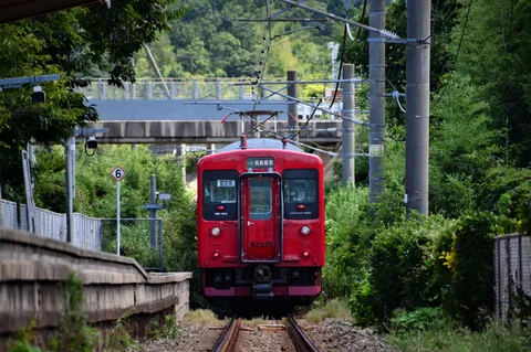新緑と赤い電車の出会い