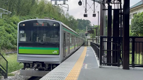 緑の駅に佇む列車