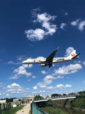 夏空と飛行機雲、そして旅立ち