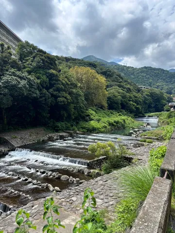 緑と水の静かな流れ