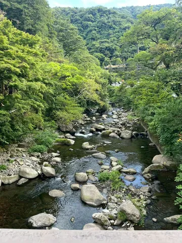 新緑の渓流、せせらぎの音に包まれて