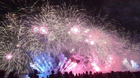夜空を彩る花火の饗宴