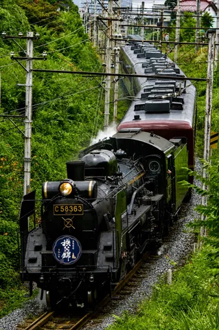 緑を抜ける蒸気列車