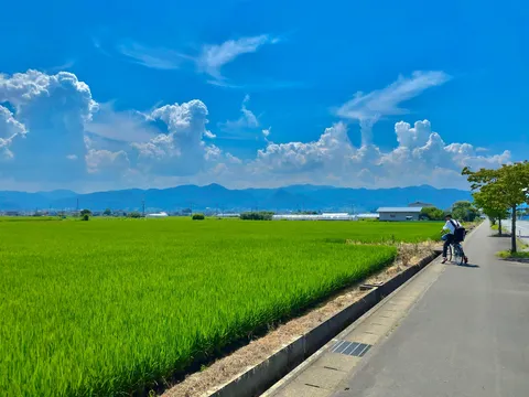 青空と田園の緑景