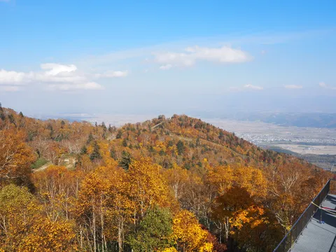 秋景色の丘に広がる色彩