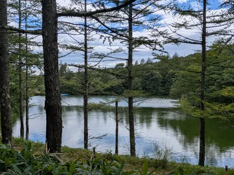 木漏れ日と湖畔の静寂